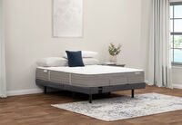 ACCLAIM REFINE FLEX
