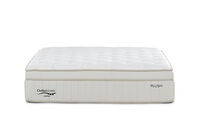 ORTHOKINETIC ASPEN PLUSH - Double Mattress ORTHOKINETIC ASPEN PLUSH