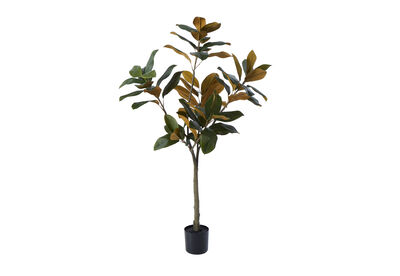 NOLIA TREE - 122CM Tree