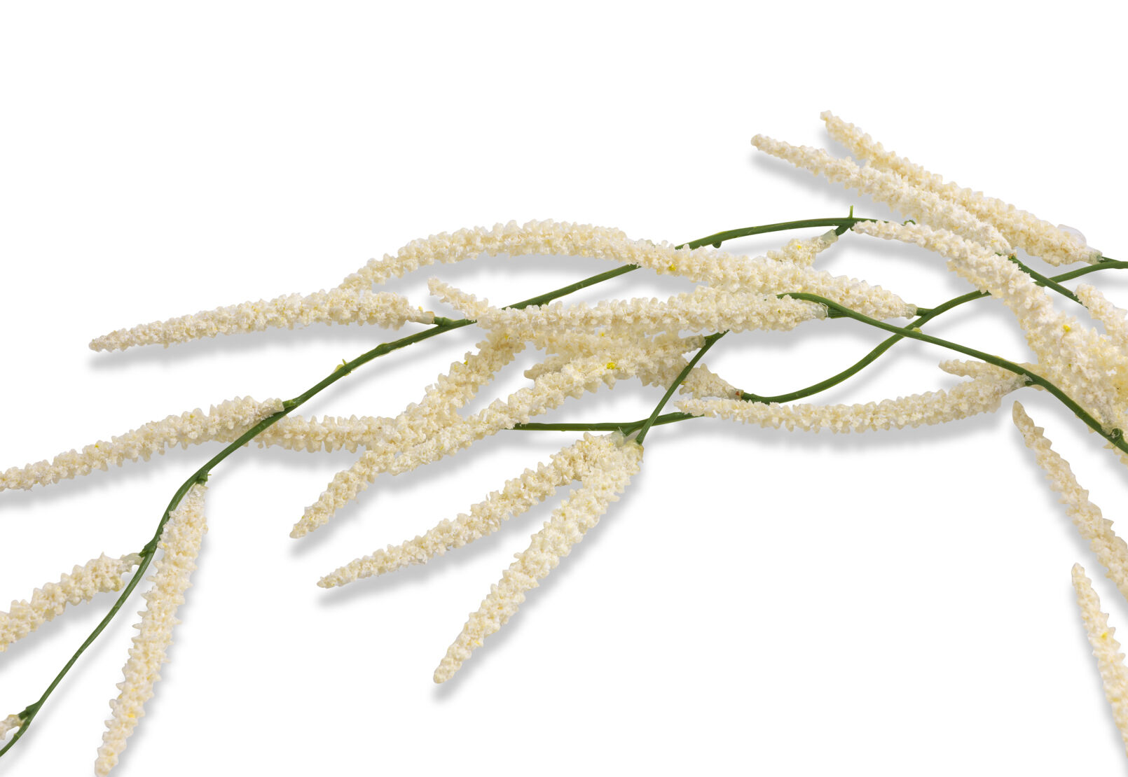 ARTIFICIAL MOUDRY - Stem ARTIFICIAL MOUDRY