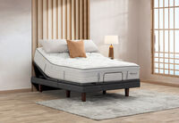 EXQUISITE SILVER FLEX PLUSH