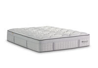 EXQUISITE SILVER FLEX PLUSH
