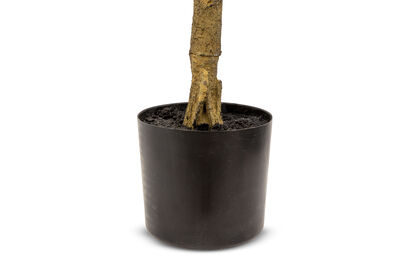OLIVE TREE - 150CM Tree