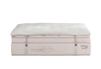 ORTHOKINETIC SIGNATURE BELLUCCI