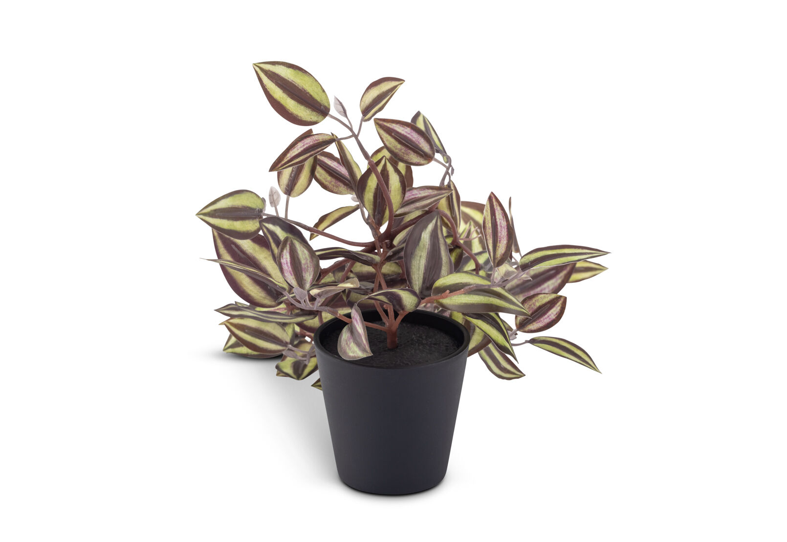 ARTIFICIAL ZEBRINA - Plant ARTIFICIAL ZEBRINA