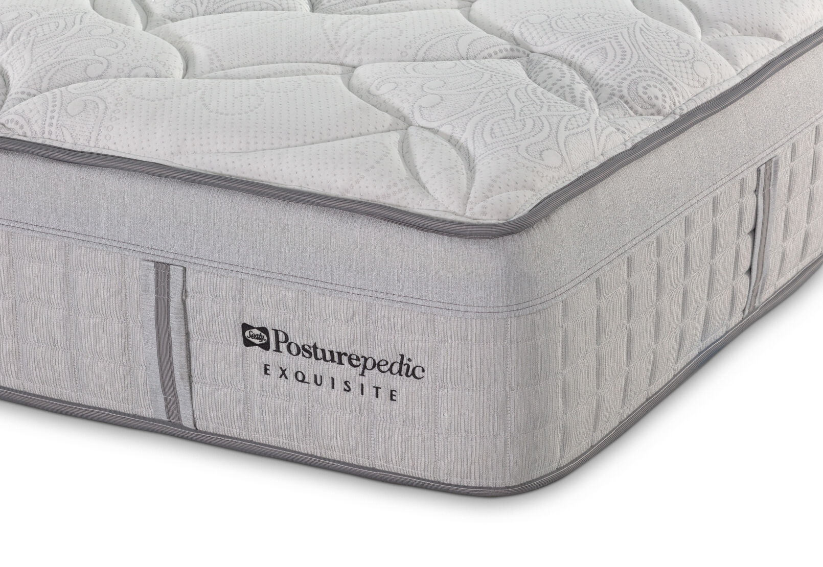 EXQUISITE SILVER FLEX PLUSH