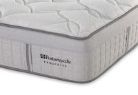 EXQUISITE SILVER FLEX PLUSH