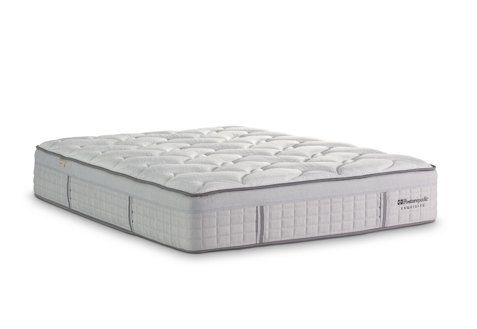 EXQUISITE SILVER FLEX PLUSH