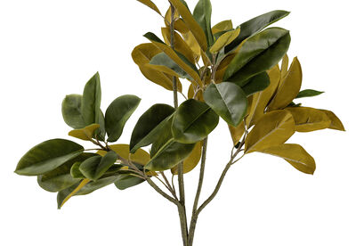 NOLIA TREE - 122CM Tree
