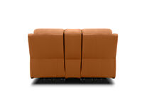 DACIA LEATHER