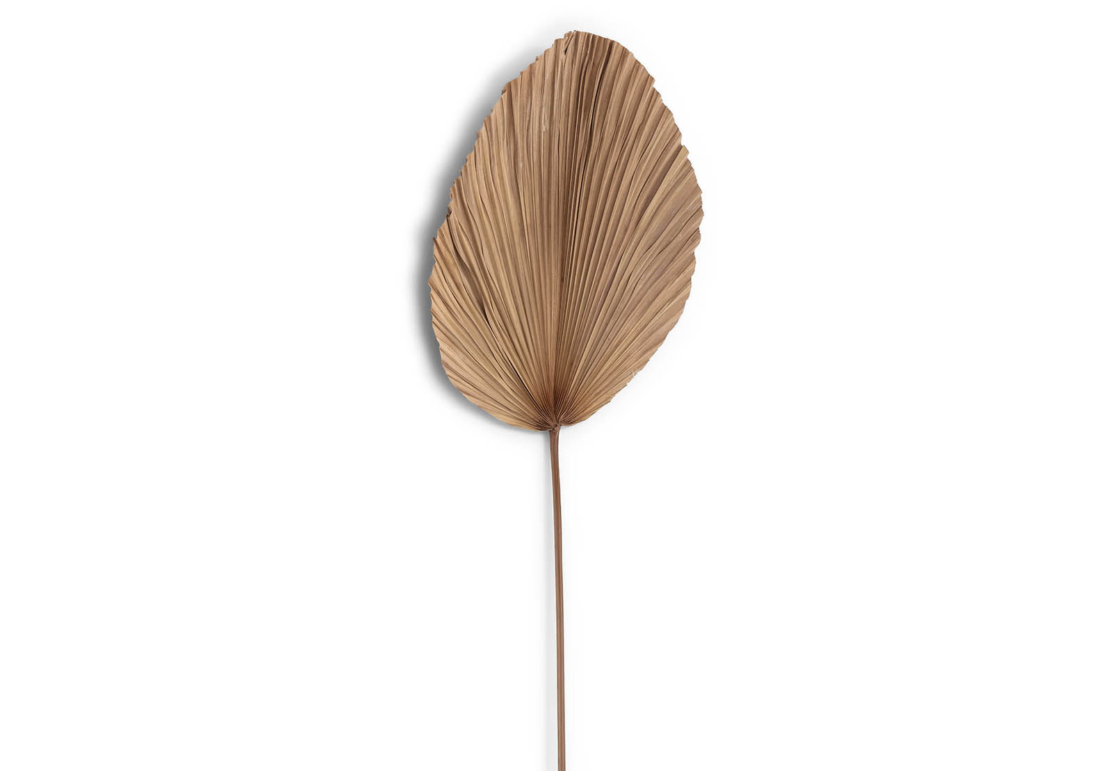 YANA - 150cm Deco Leaf YANA