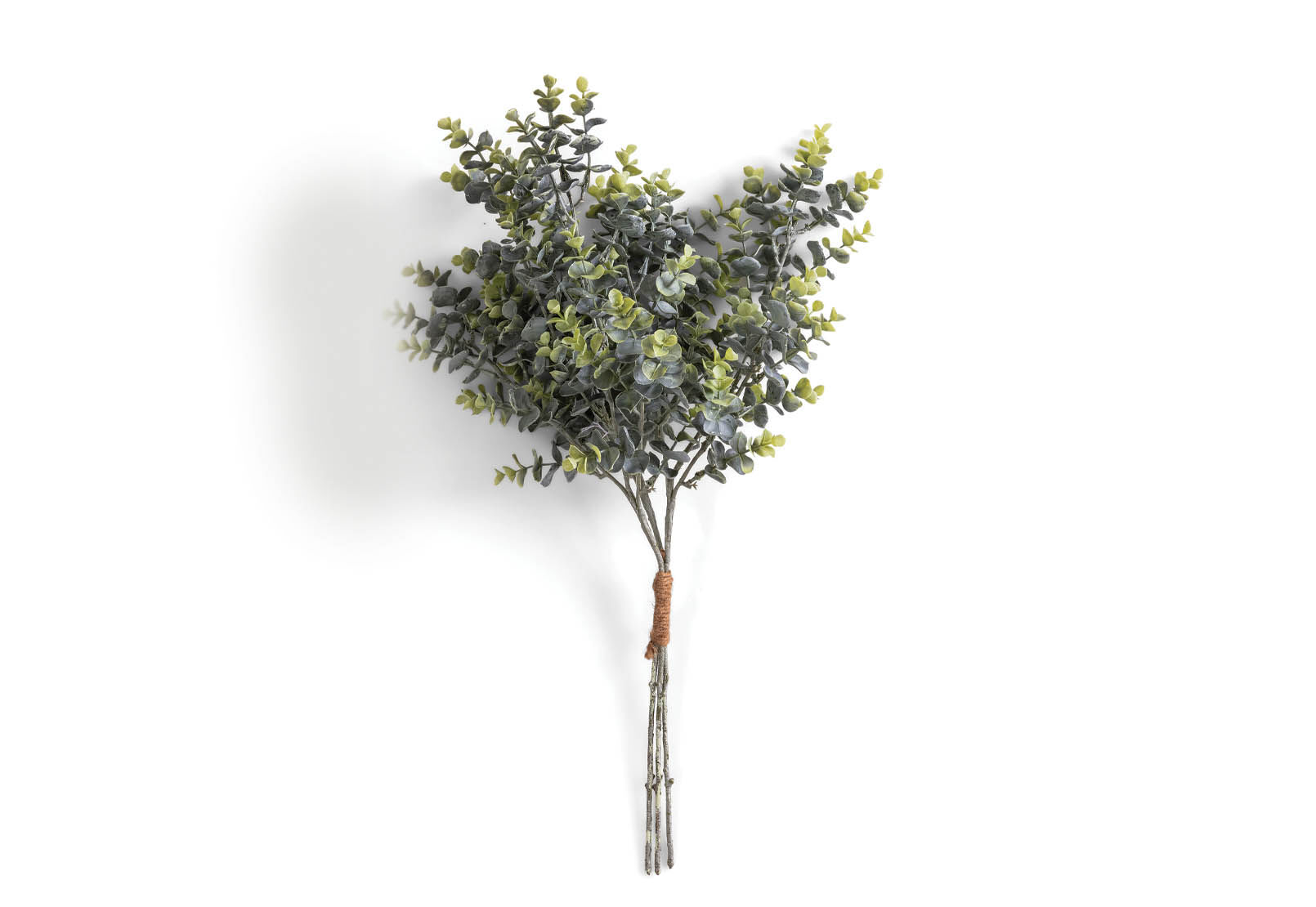MYRTLE - 64cm Stem MYRTLE