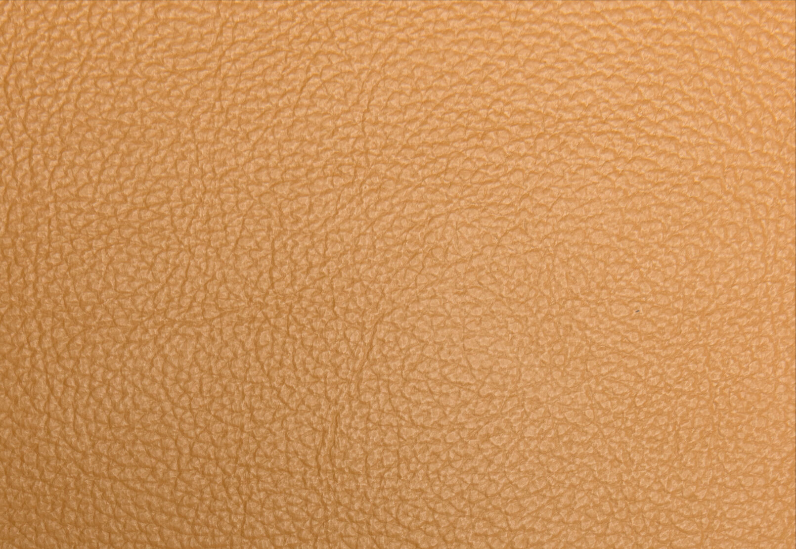 ALCINA LEATHER