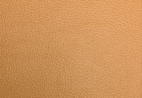 ALCINA LEATHER