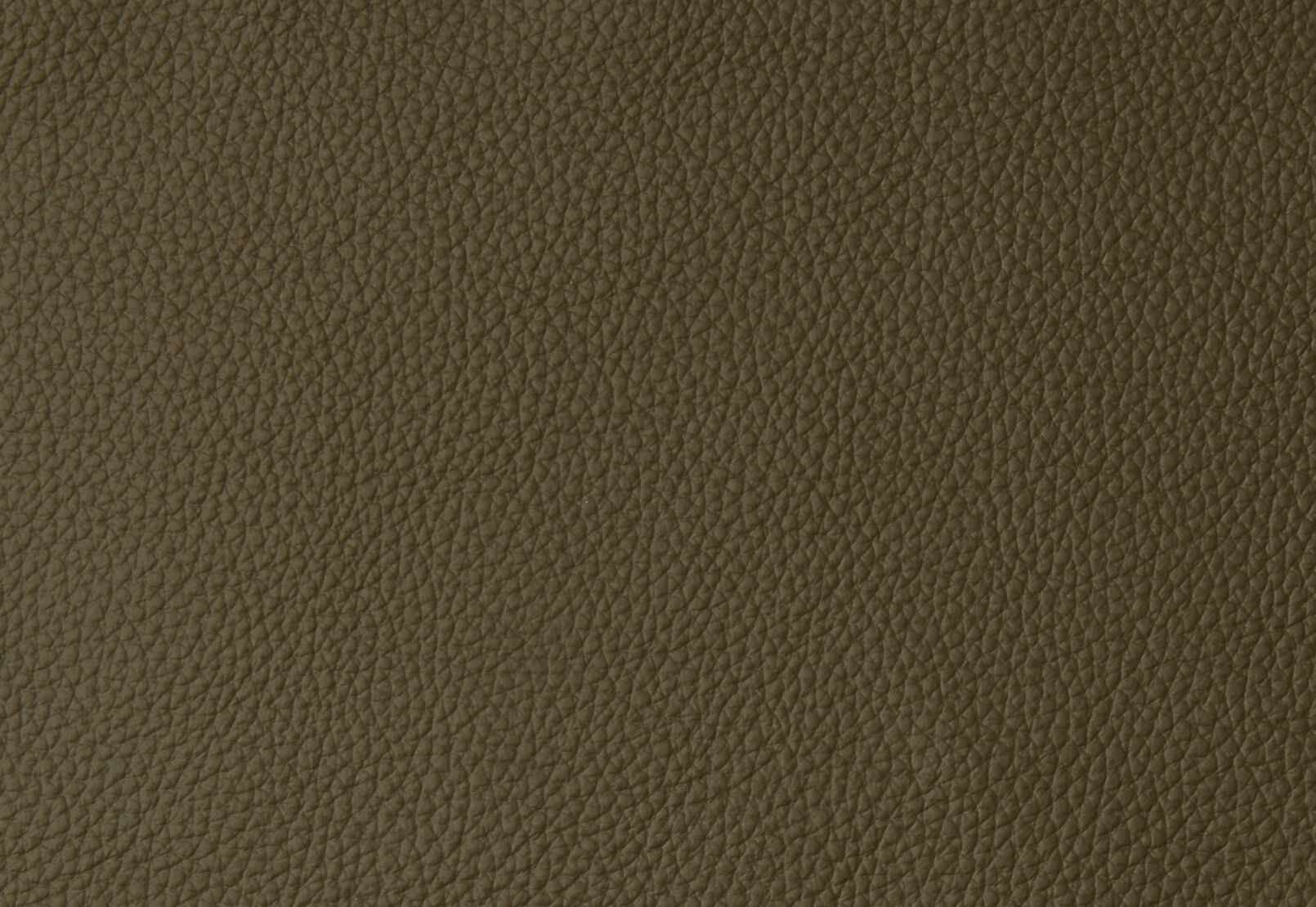 HOLLYWOOD LEATHER