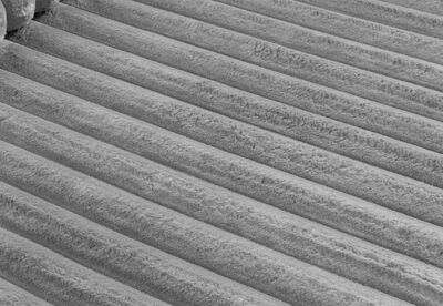 CALISO MK2 - Rug 200 x 300