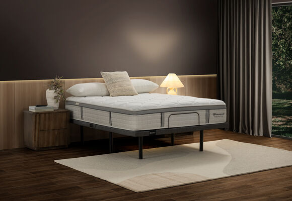 EXQUISITE SILVER FLEX - Queen Mattress