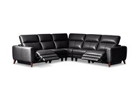 SPECTRA LEATHER