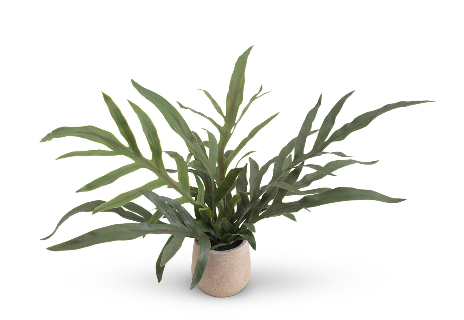 ARTIFICIAL BLUE STAR - Fern Pot ARTIFICIAL BLUE STAR