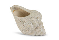 ECOSTRA CERAMIC