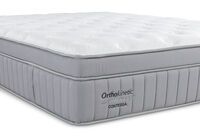 ORTHOKINETIC CONTESSA PLUSH