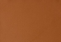 HOLLYWOOD LEATHER