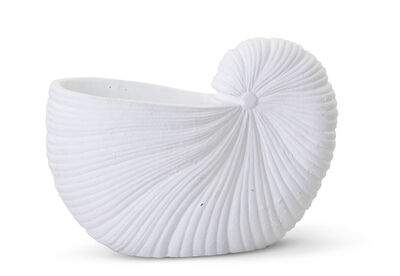 SEASHELL - 19x26cm Planter