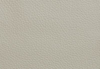 CARNABY LEATHER