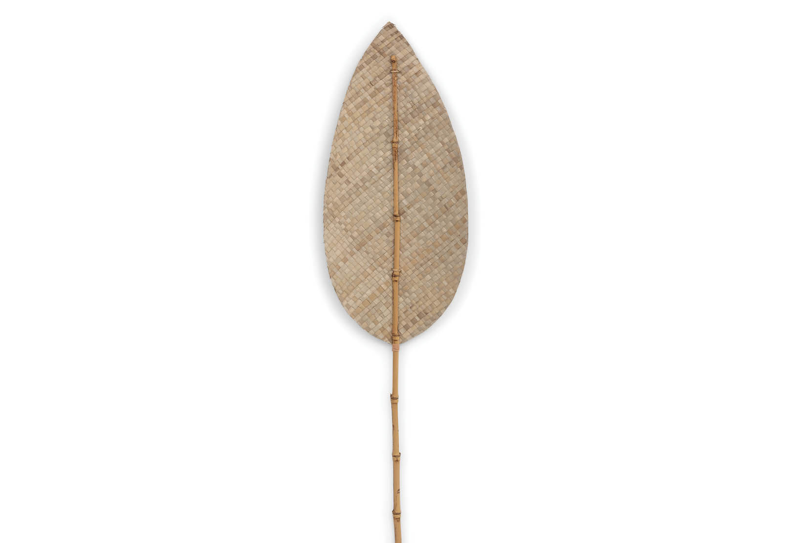 ANWAR - 180cm Natural Deco Leaf ANWAR