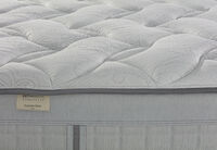 EXQUISITE SILVER FLEX PLUSH