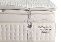 ORTHOKINETIC SIGNATURE BELLUCCI