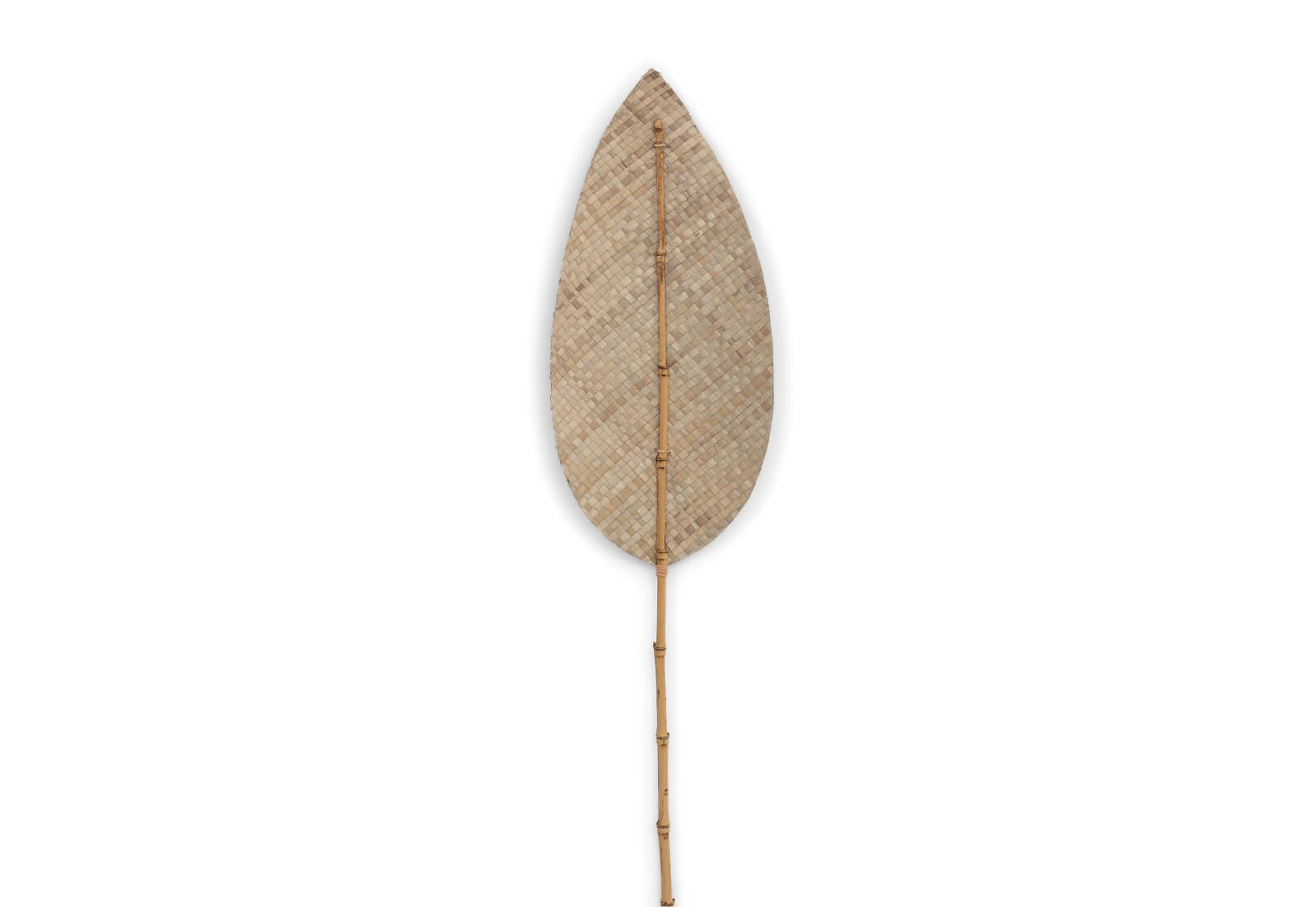 ANWAR - 180cm Natural Deco Leaf ANWAR