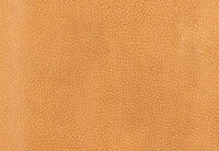 BURLINGTON FABRIC