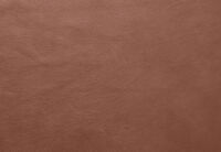 VANTRO LEATHER