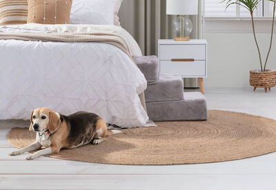 KELLEY - 3 Step Pet Stairs Medium
