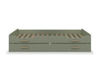 PINEDA