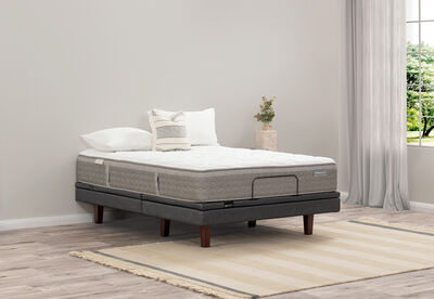 ACCLAIM RESTORE FLEX PLUSH - Base
