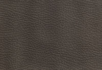 RODDICK FABRIC