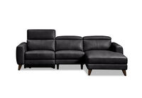 SPECTRA LEATHER