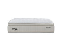 ORTHOKINETIC ASPEN SUPPORT