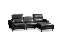 SPECTRA LEATHER