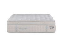 ORTHOKINETIC SIGNATURE DE LUCA