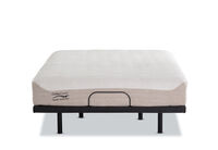 ORTHOKINETIC HYBRID FUSION FIRM