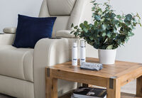 SMARTCARE LEATHER SYSTEM