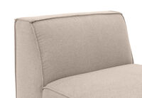 PHENORA FABRIC