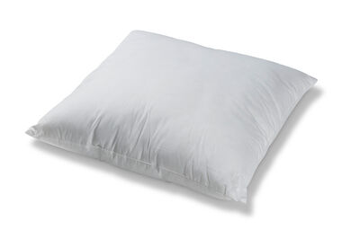 PERAGO HOME MICROLUSH - European Microlush Pillow 6 P/C