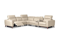 SPECTRA LEATHER