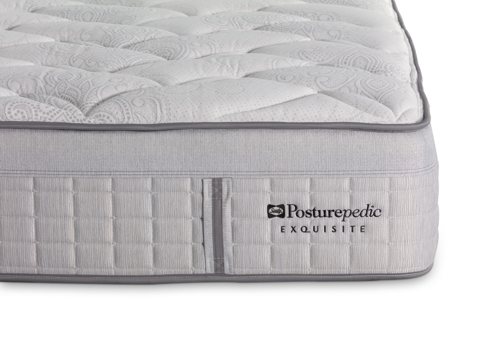 EXQUISITE SILVER FLEX PLUSH