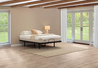 ORTHOKINETIC HYBRID FUSION FIRM