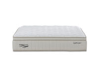 ASPEN